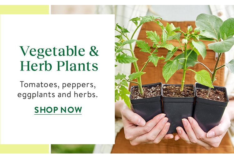 Mix and Match Plants