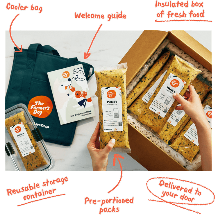 Cooler bag. Welcome guide. Insulated box of fresh food. Reusable storage container. Personally portioned packs. Delivered to your door