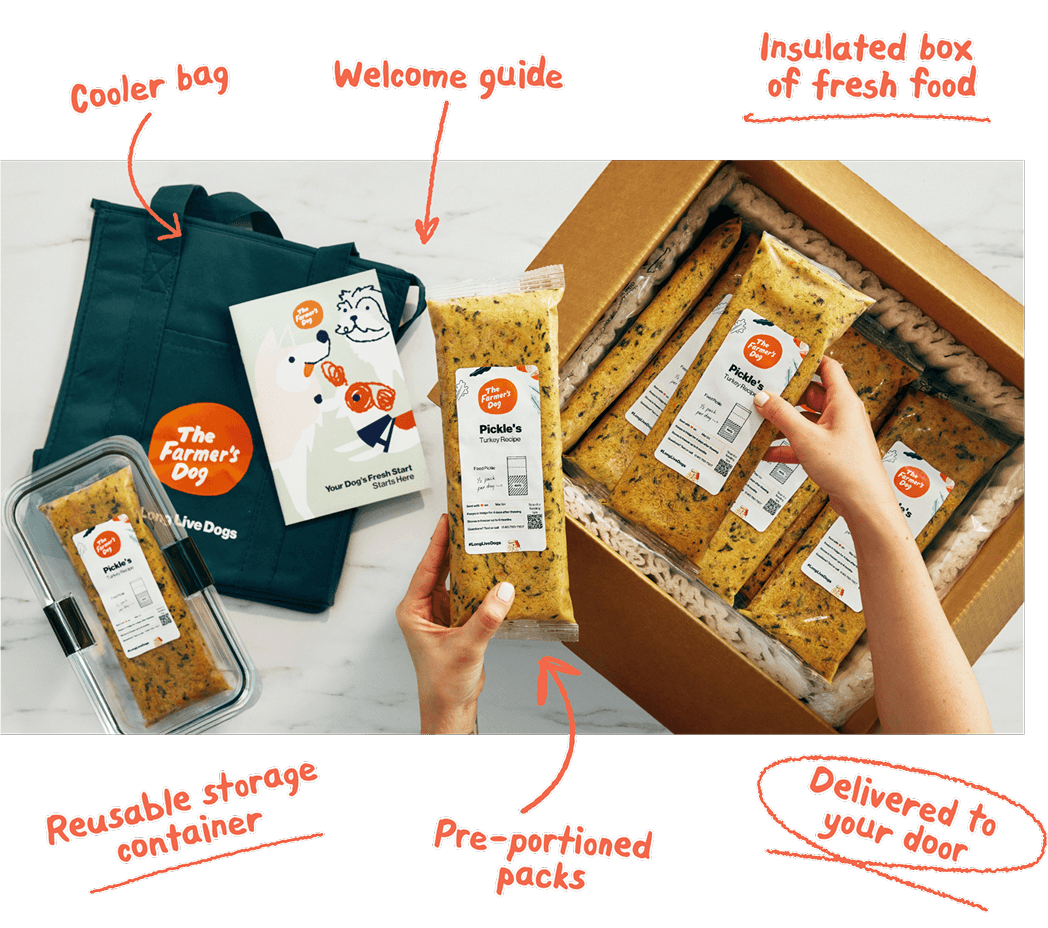 Cooler bag. Welcome guide. Insulated box of fresh food. Reusable storage container. Personally portioned packs. Delivered to your door