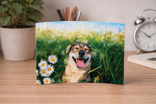 Metal Prints