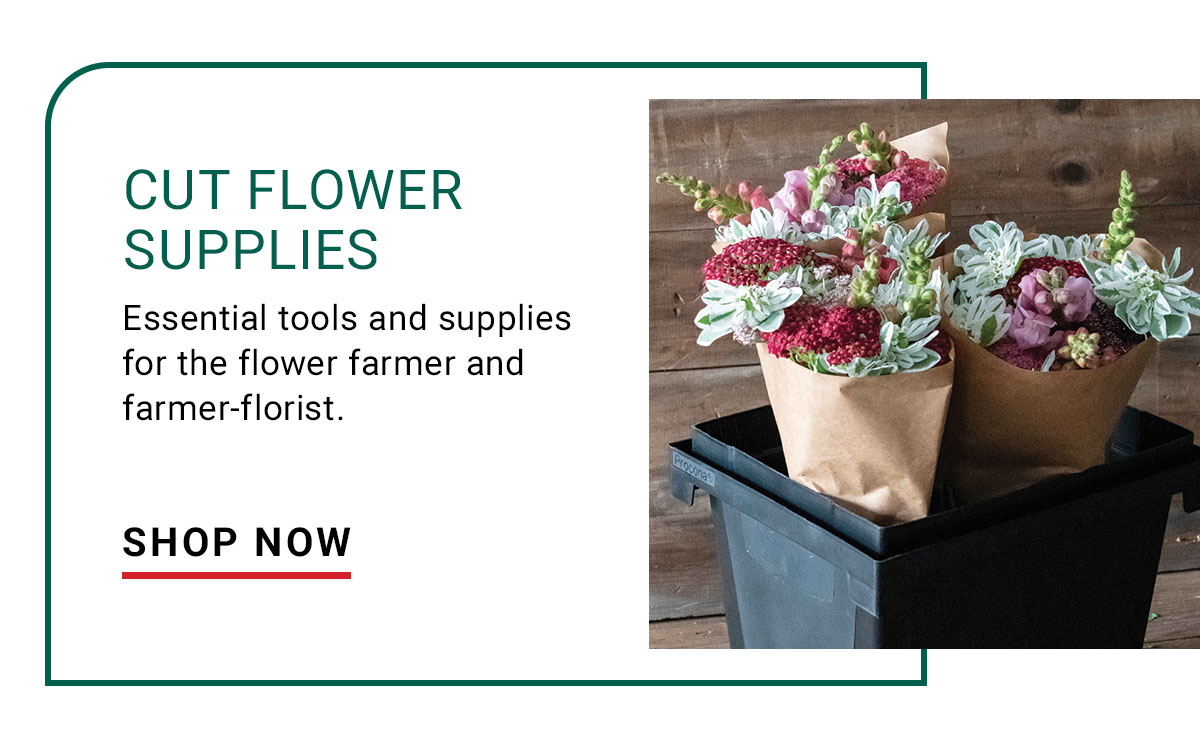 Cut-Flower Supplies