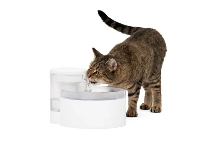 Image of Outlast™ Pet Fountain