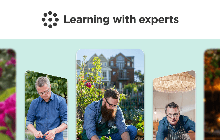 Learning with Experts