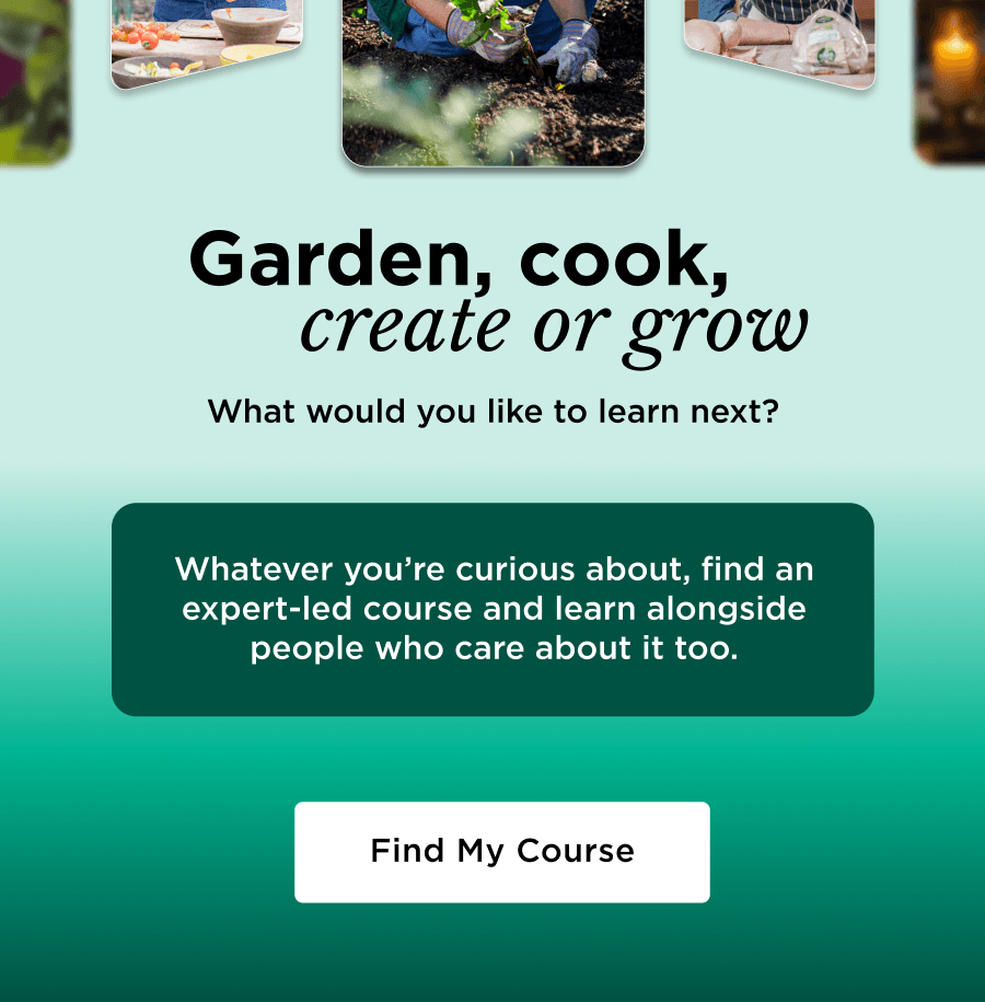 Find my Course
