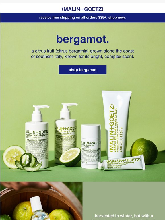 what is bergamot?