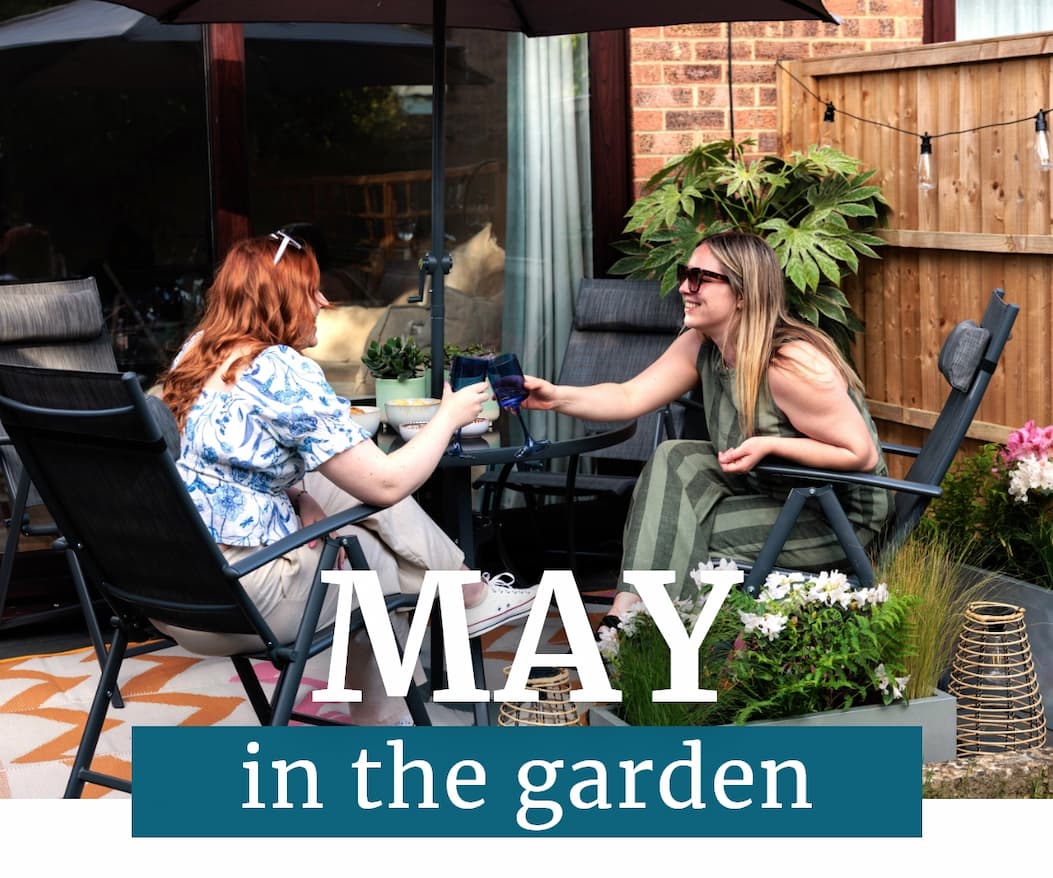 May in the garden 