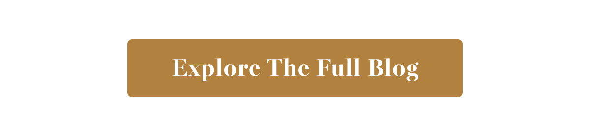 Explore The Full Blog