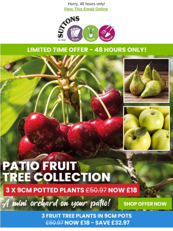 Patio Apple, Pear & Cherry Trees now £6 each!