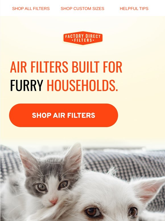 Own a Pet? Your Air Might Need a Refresh