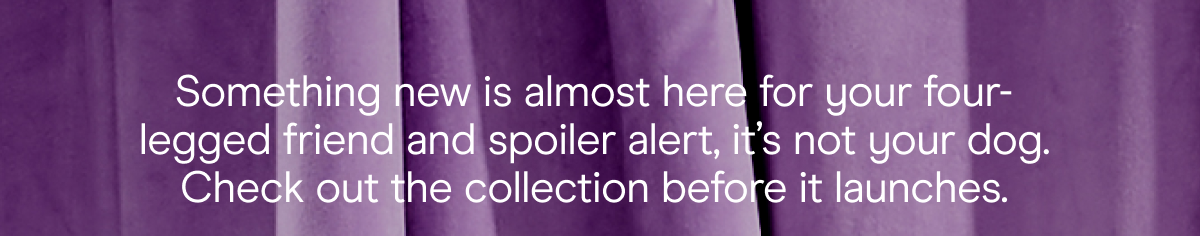 Something new is almost here for your four-legged friend and spoiler alert, it's not your dog. Check out the collection before it launches.