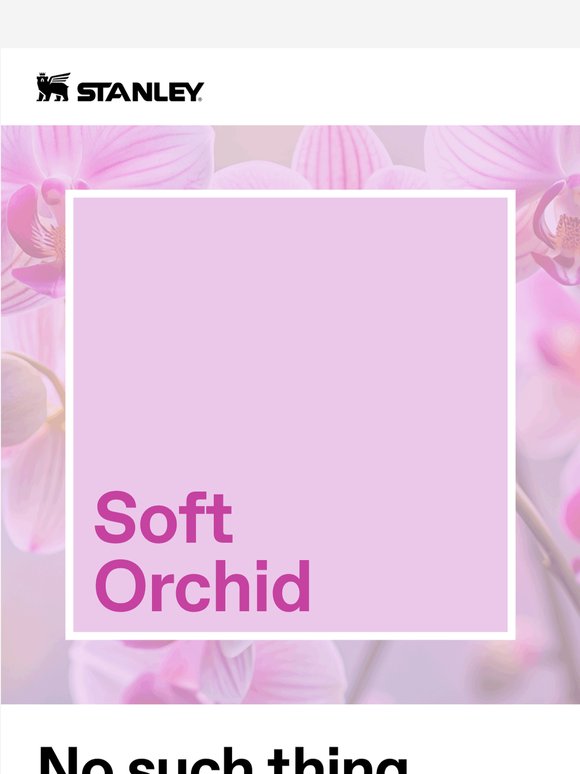 The Power of Pink