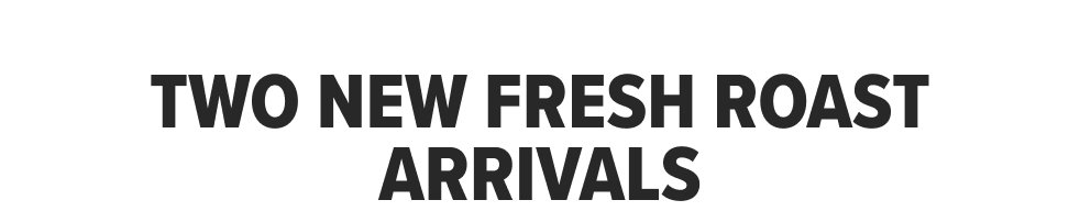 Two New Fresh Roast Arrivals