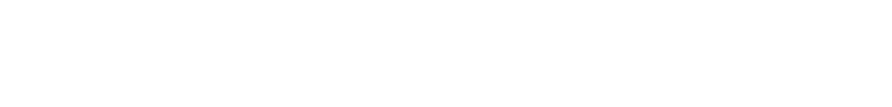 strellson