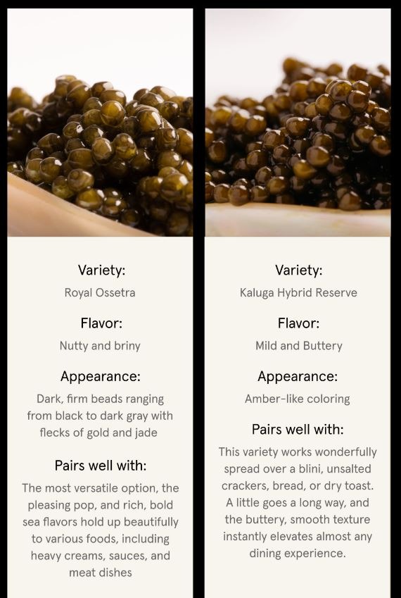 Royal Ossetra vs Kaluga Hybrid Reserve