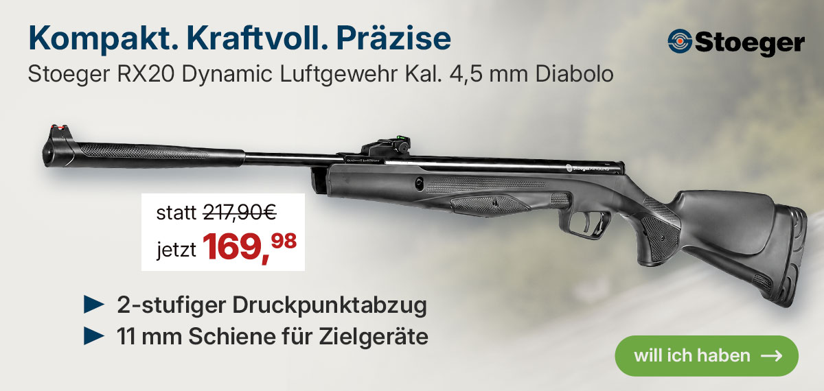 Linkgrafik zu RX 20 Dynamic