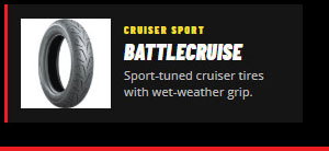 Battlecruise