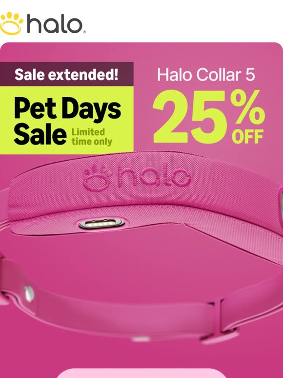 Pet Days Sale: 1 more day! 🎉