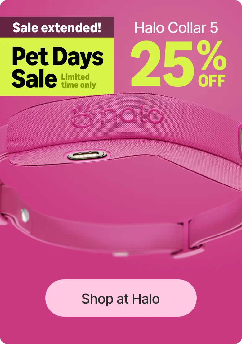 You asked and we listened. The Pet Days Sale has been extended one more day. Get Halo Collar 5 for $445 before this deal closes for good tonight.