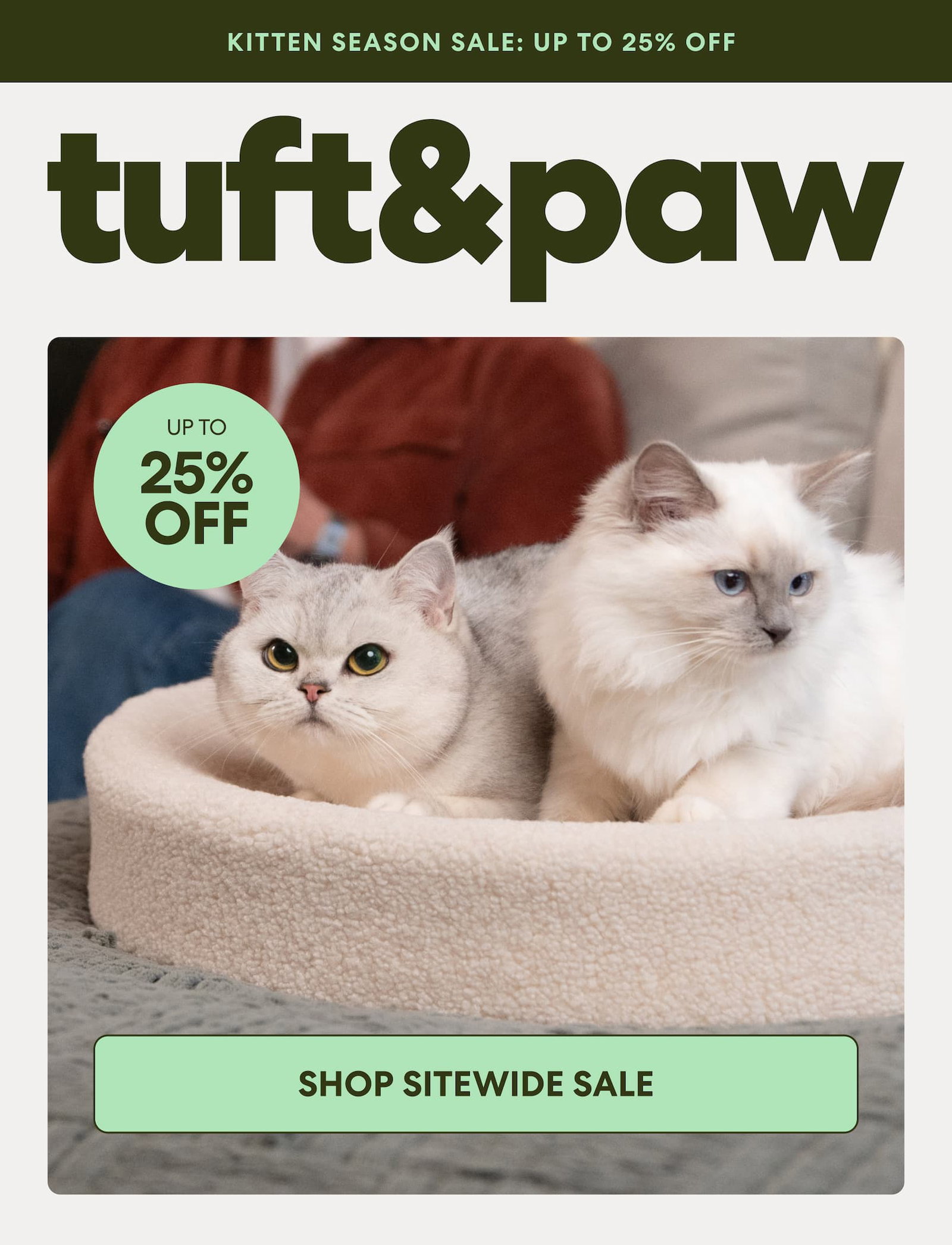 Kitten Season Sale: Up to 25% Off Shop the Site Wide Sale