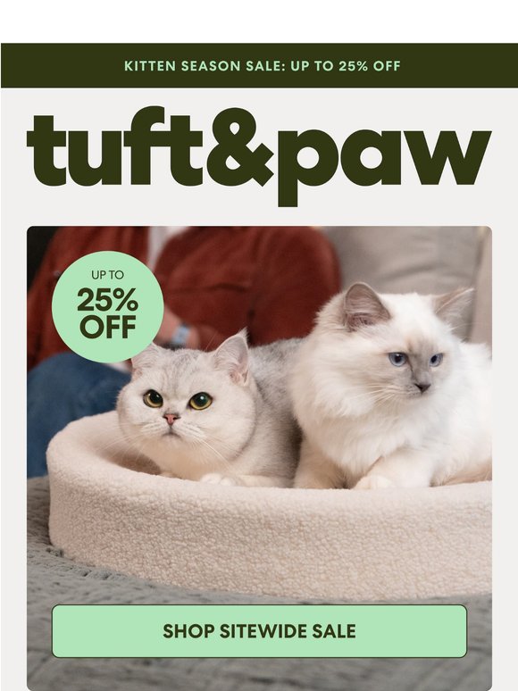 Your new cat checklist, covered.