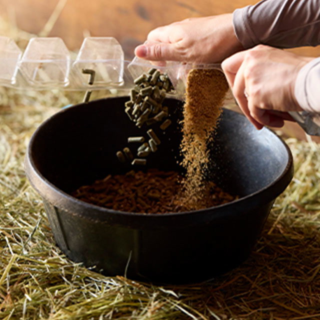 Knowing when to start my horse on a joint supplement.