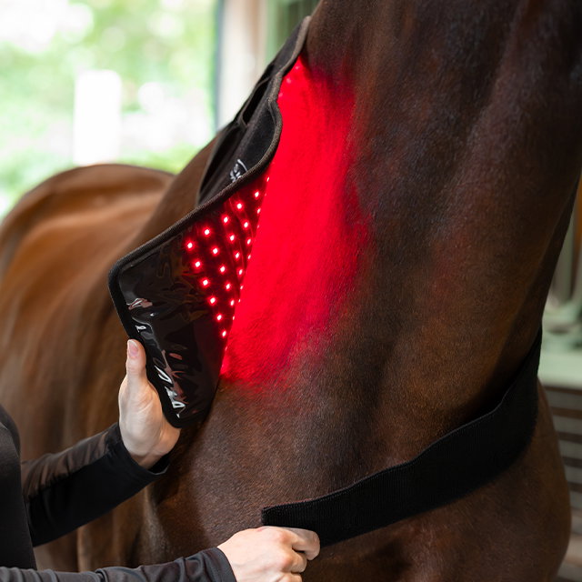 Laser or light therapy for soft tissue healing.