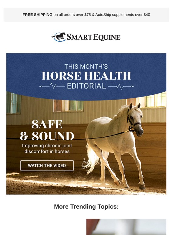 From the Experts: The Joint Edition