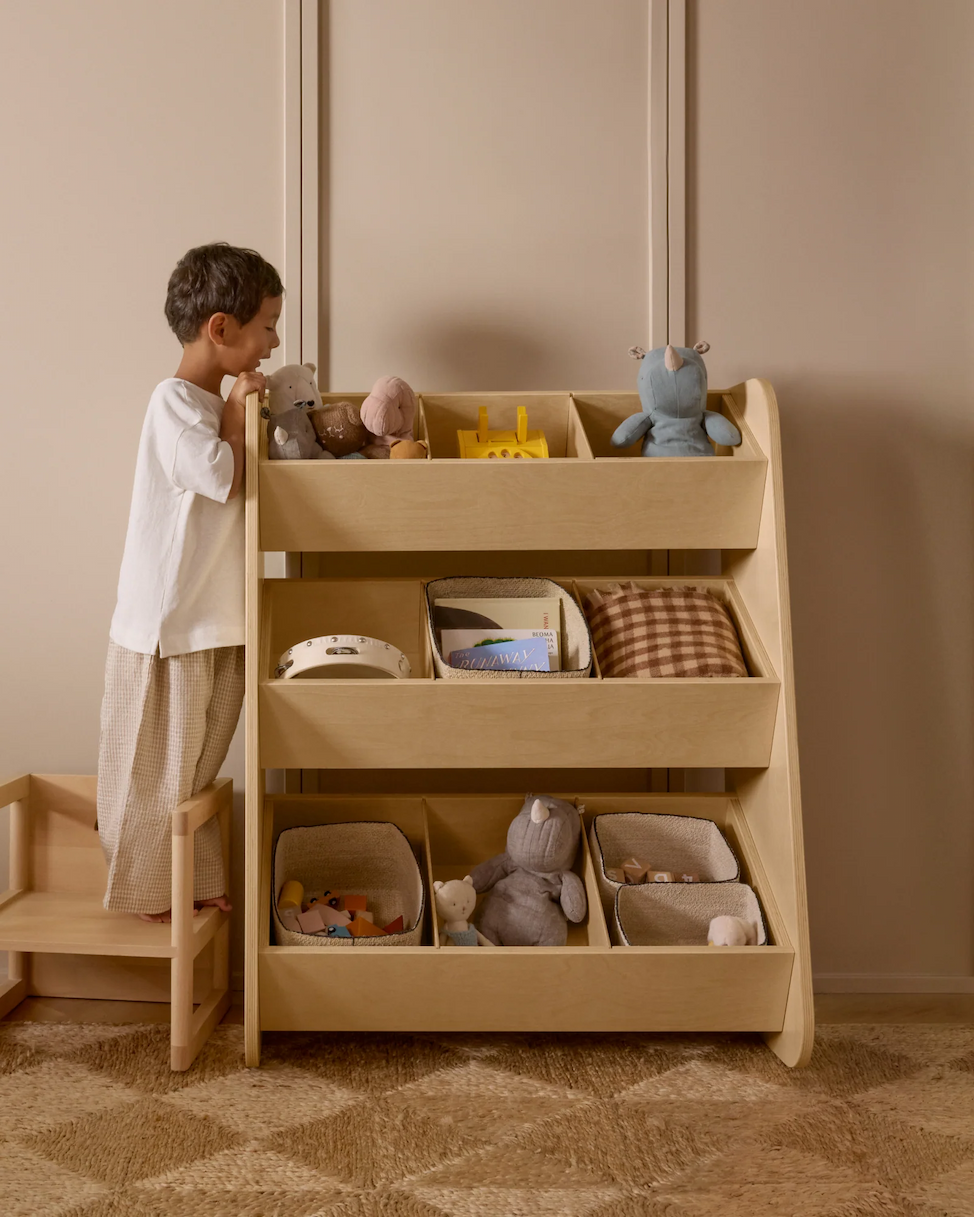 Image of Toy Organizer