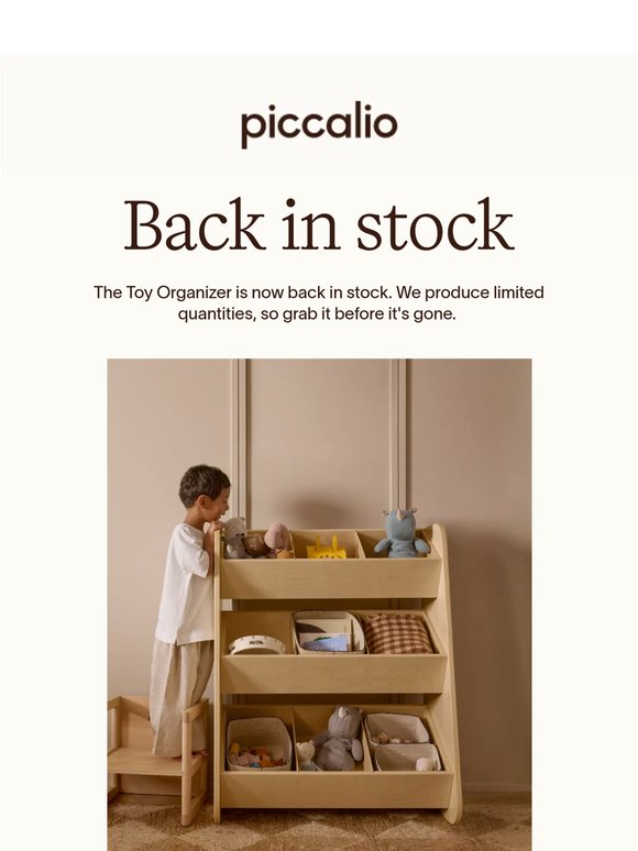 The Toy Organizer is Back in Stock!