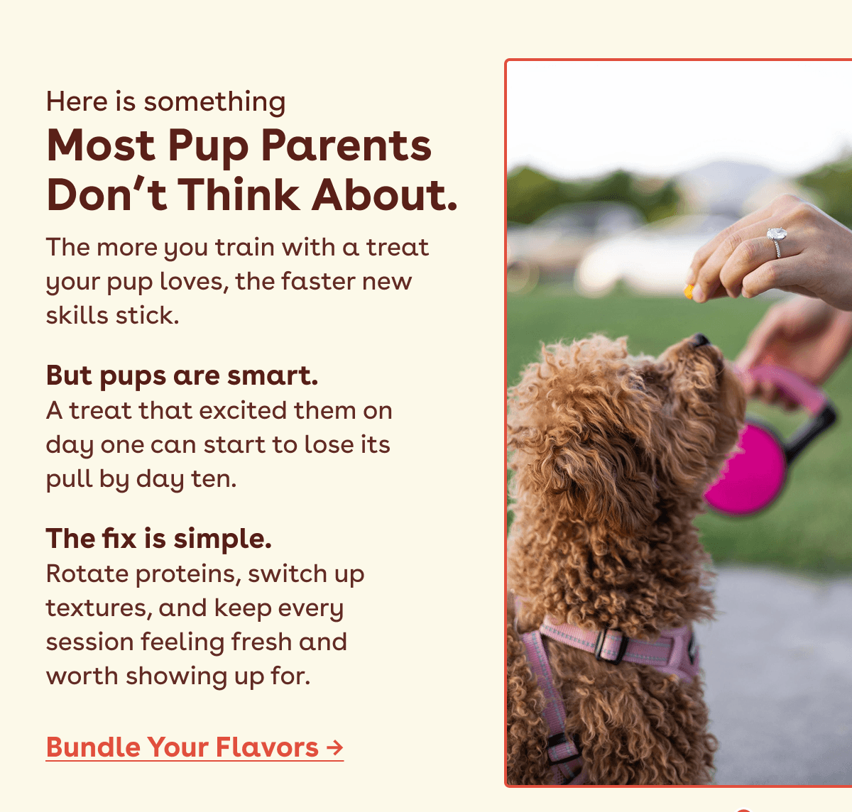 Bundle your flavors 