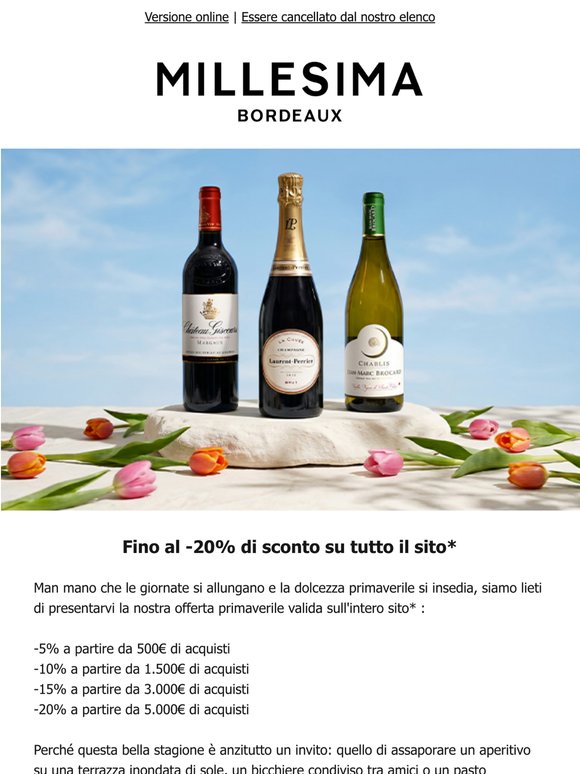 Eccezionale: fino al -20% su tutto il sito*