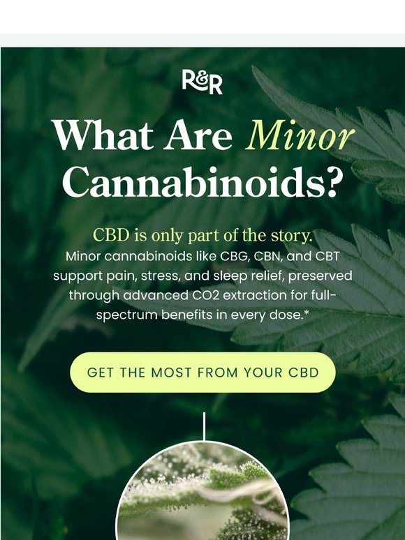 You Won’t Believe What Cannabinoids Can Do 🤯