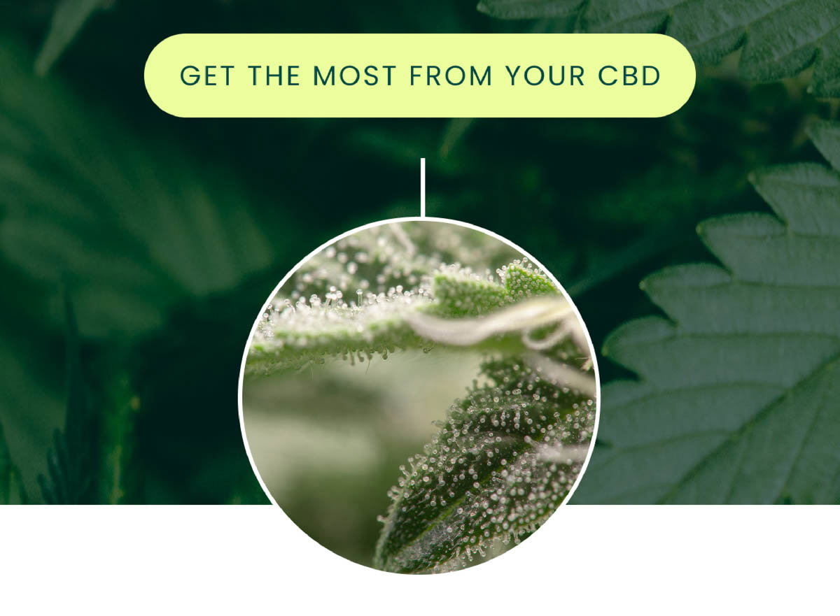 Get the Most from Your CBD