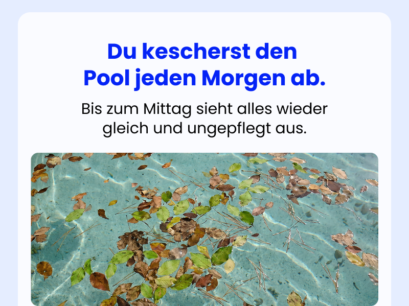 Du kescherst den Pool jeden Morgen ab.