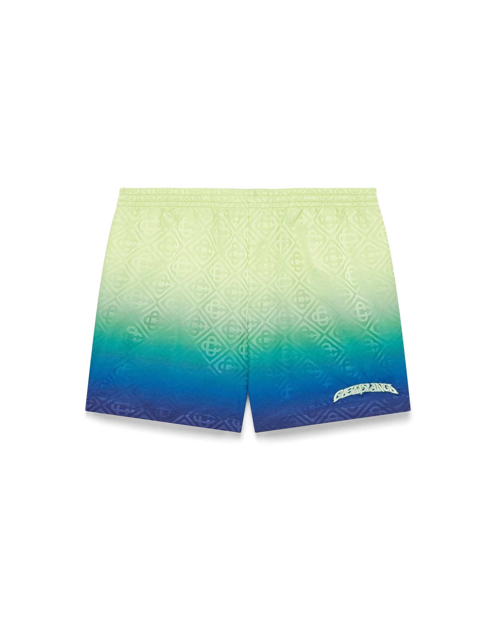 Image of Gradient Swim Shorts