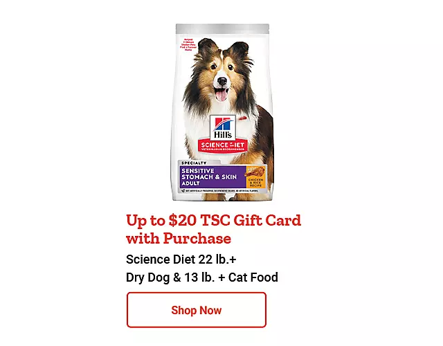 51626_FW20FLASHSALE_ScienceDietDogCatFood