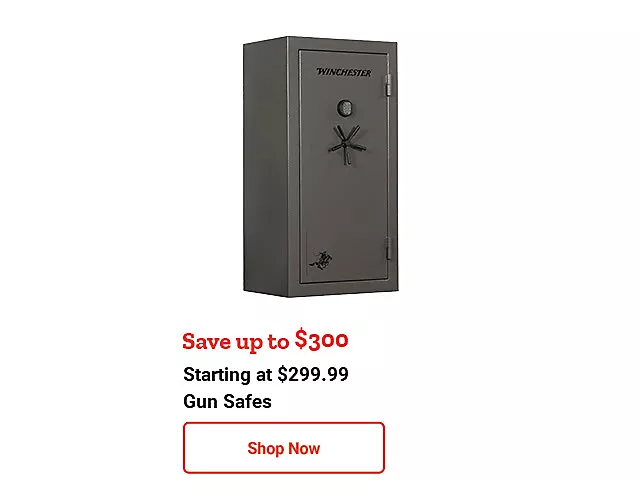51626_FW20FLASHSALE_Gun Safes