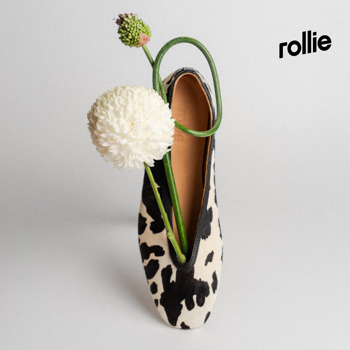 Rollie New Arrivals