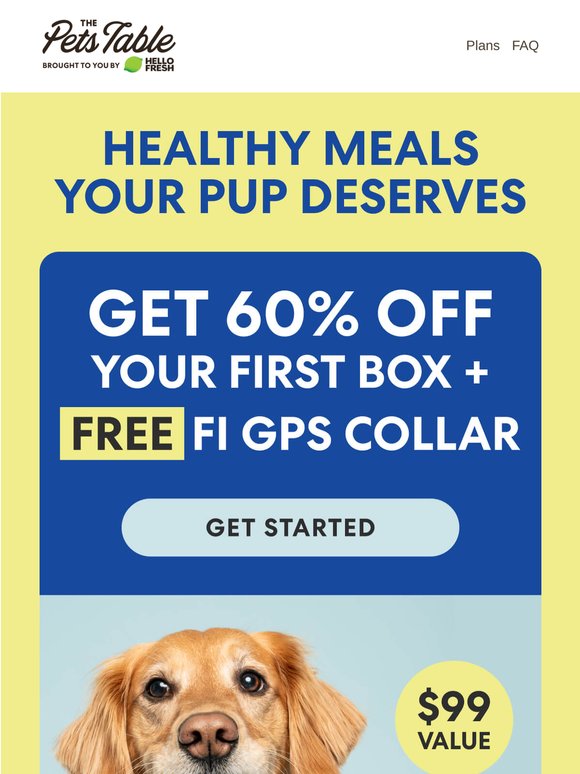 Keep your pup on track with a FREE Fi GPS collar