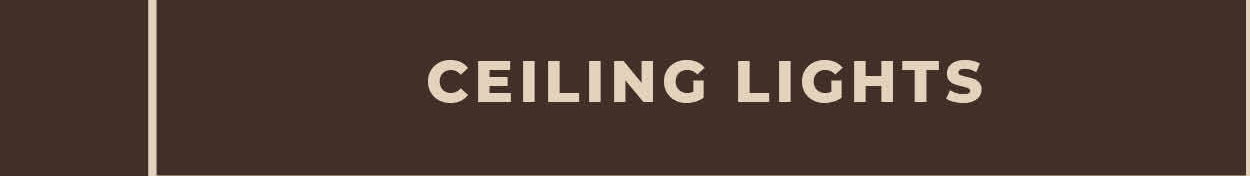 [Ceiling Lights]