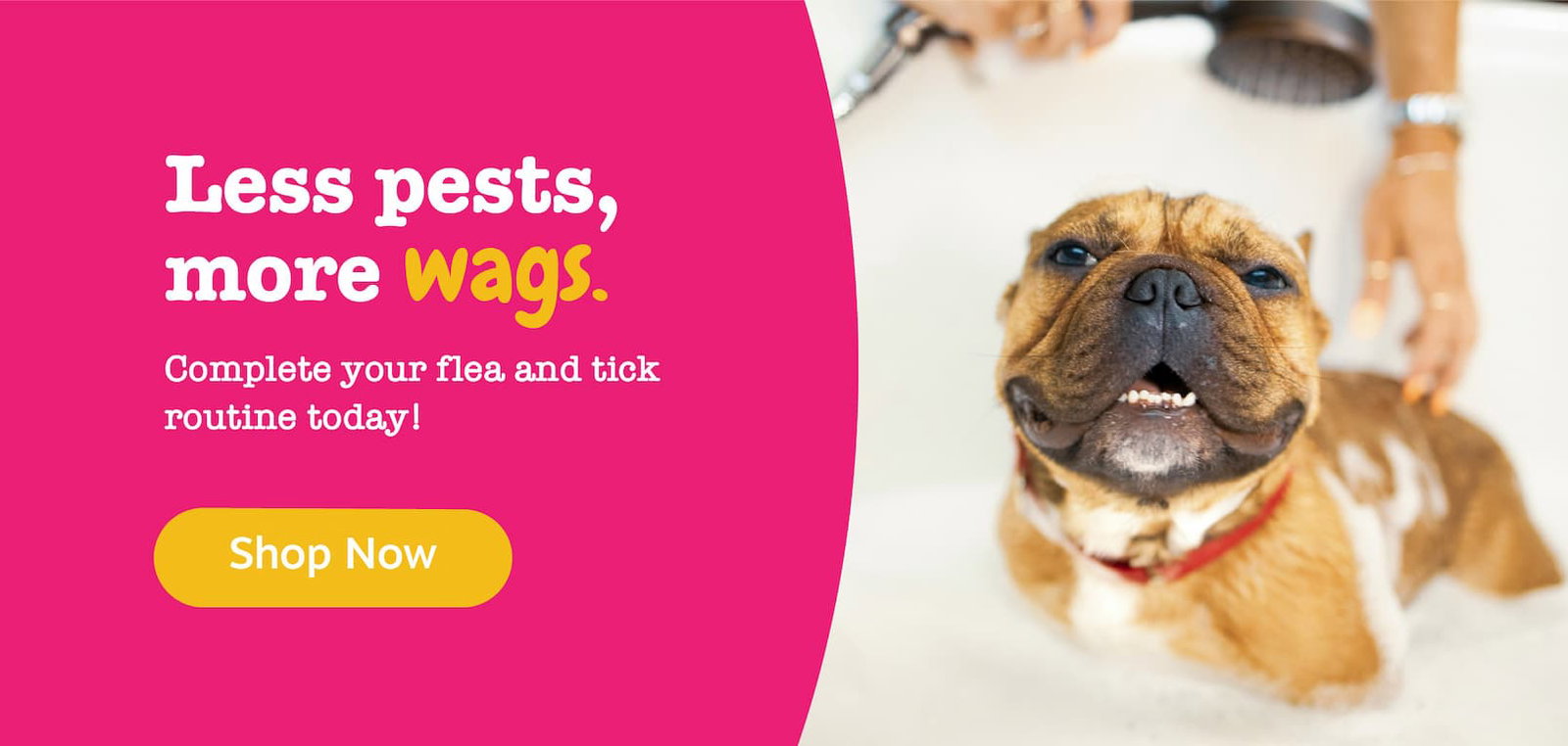 Less pests, more wags. Complete your flea & tick routine today! Shop now