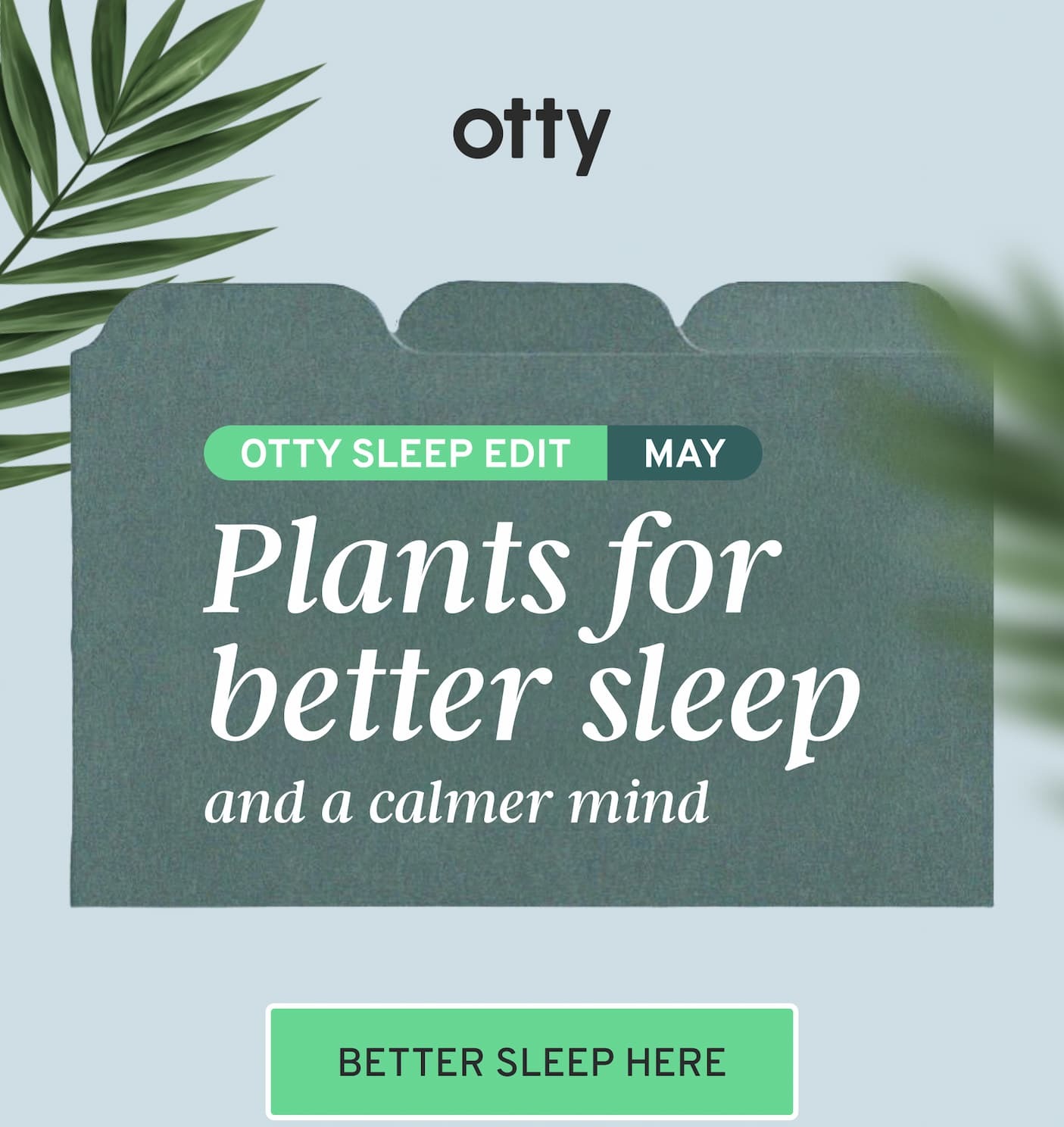 Plants for better sleep and a calmer mind.