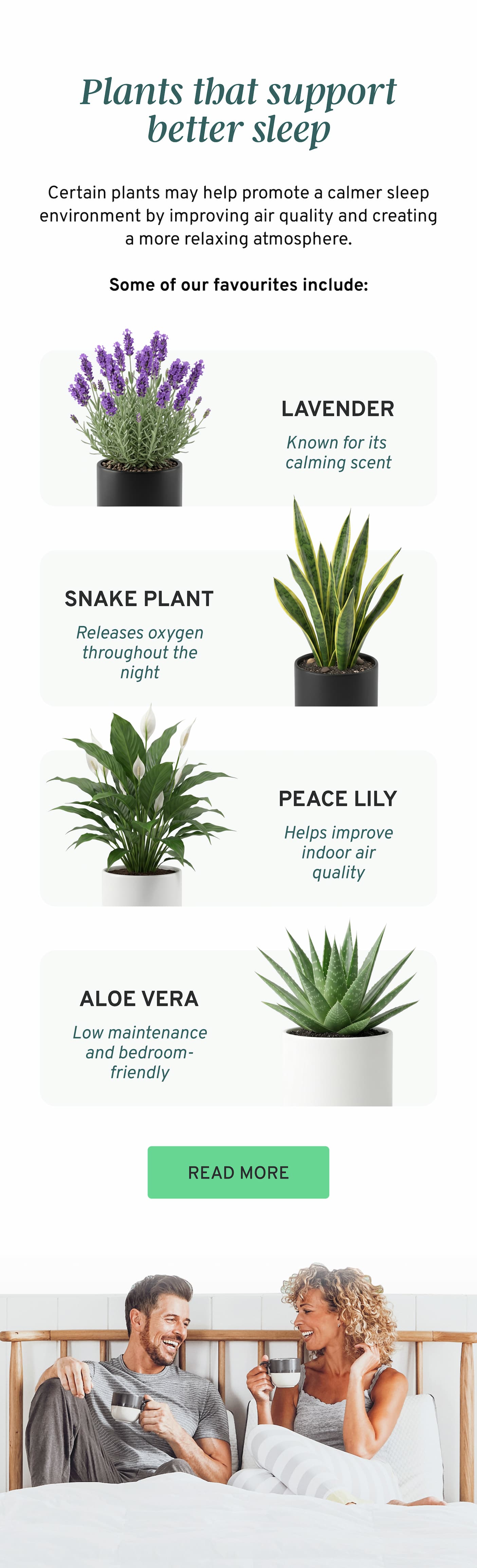 Plants for better sleep and a calmer mind.