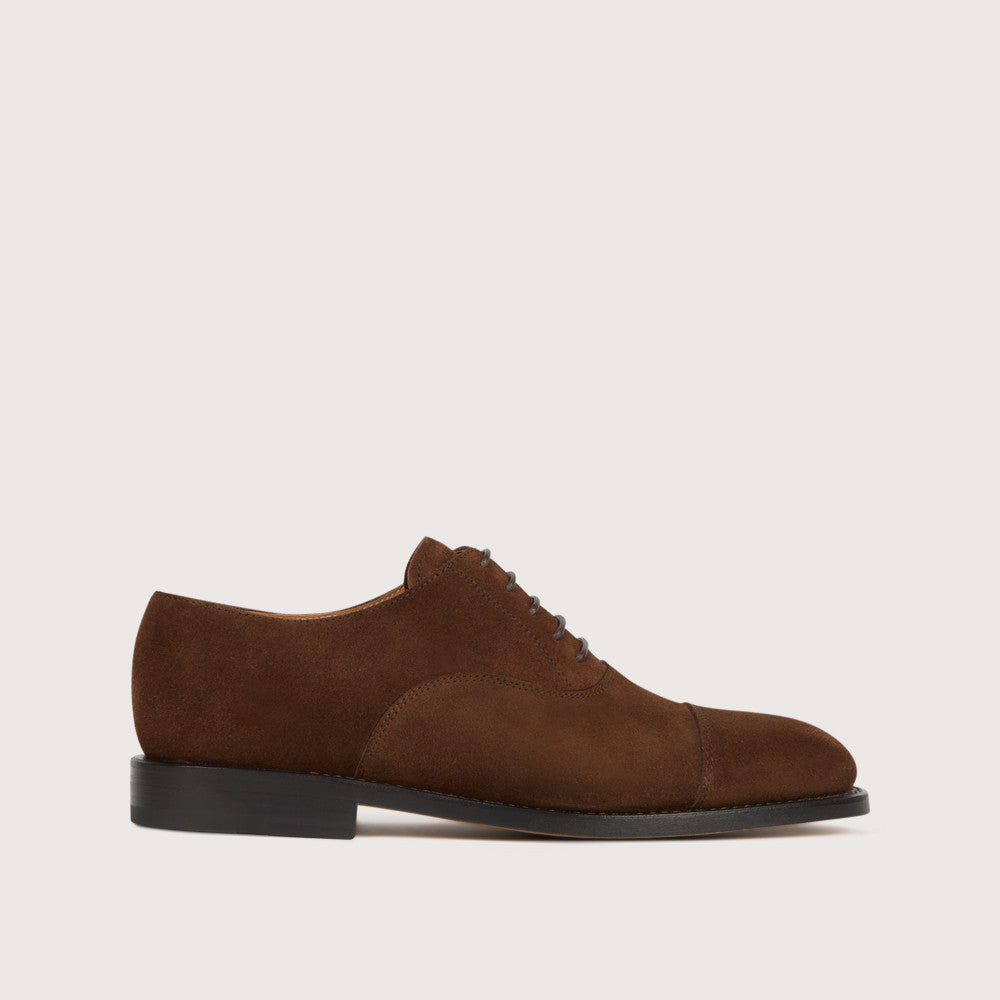 Men's Oxford Tilleul