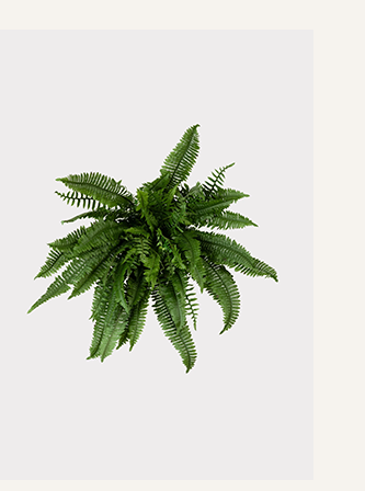 Large UV Resistant Outdoor Fake Boston Fern Plant 