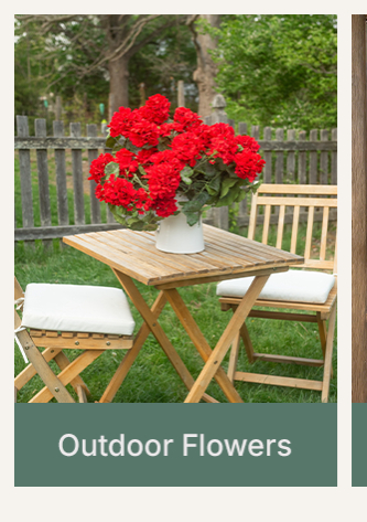 Outdoor Flowers