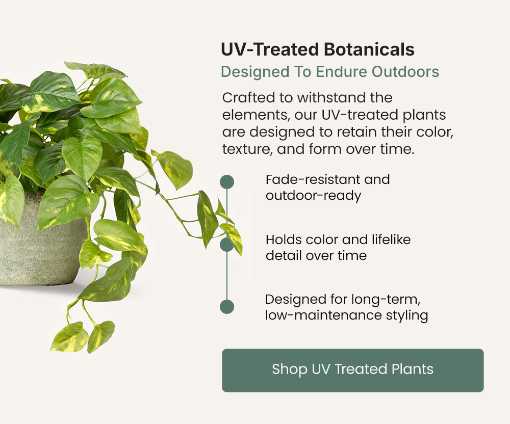 UV-Treated Botanicals