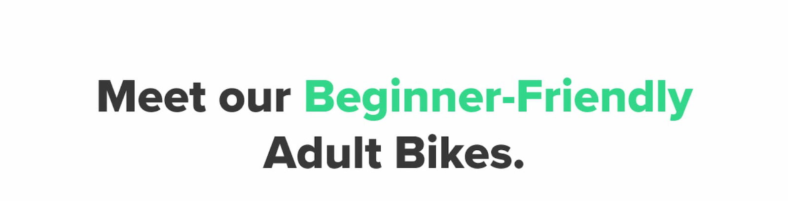 Meet our Beginner-Friendly Adult Bikes