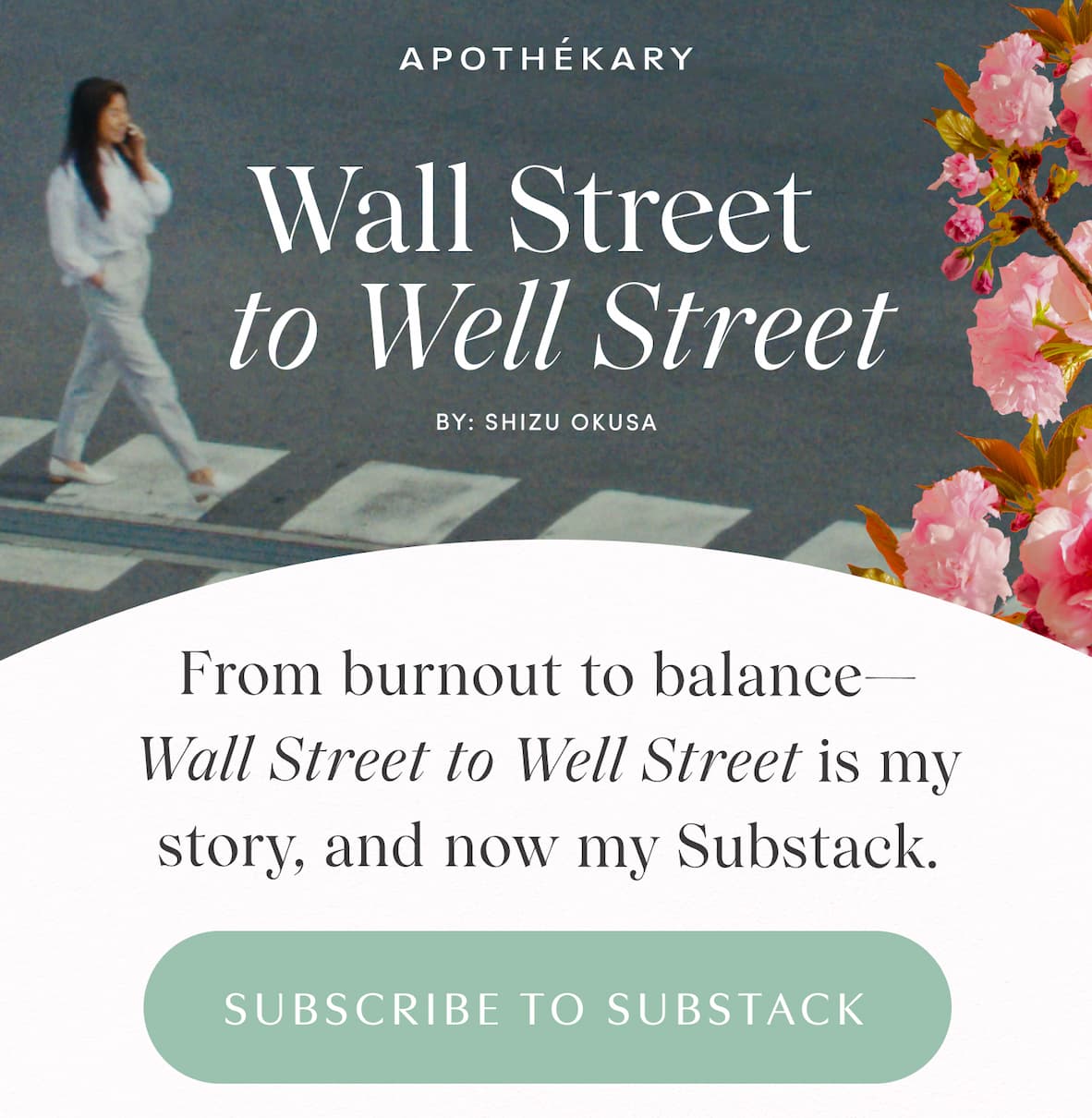 Wall Street to Well Street by Shizu Okusa Subscribe to Substack