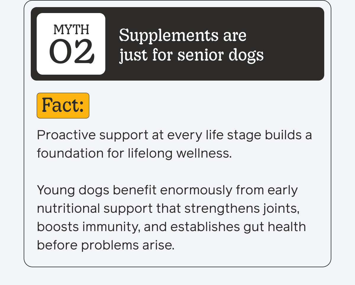 Myth 02: Supplements are just for senior dogs